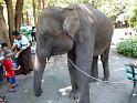 Burma III-020-Seib-2014